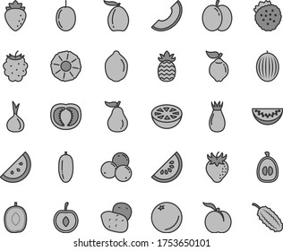 Thin line gray tint vector icon set - strawberries vector, orange slice, ripe peach, apple, quince, raspberry, strawberry, rose hip, blackberry, blueberries, melon, of, water, loquat, delicious plum