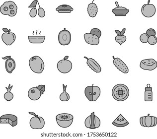 Thin line gray tint vector icon set - feeding bottle vector, cheese, pie, a bowl of buckwheat porridge, hot, piece meat, cucumber, beet, omelette, blueberries, ripe peach, red apple, tasty, cornels