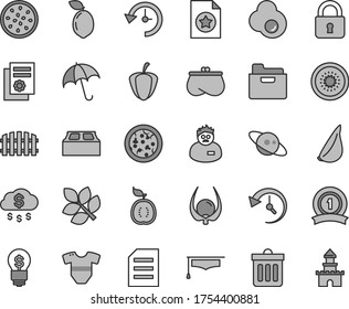 Thin line gray tint vector icon set - t short vector, building block, fence, dust bin, lock, umbrella, folder, pizza, garlic, fried egg, half of kiwi, passion fruit, sour lime, guawa, physalis, file