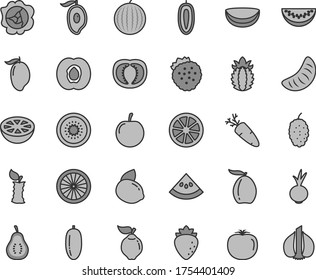 Thin line gray tint vector icon set - beet vector, carrot, strawberries, half apricot, squash, quince, raspberry, mulberry, water melon, mango, of, loquat, slice, date fruit, tangerine, tasty plum