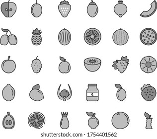 Thin line gray tint vector icon set - jar of jam vector, strawberry, strawberries, branch grape, quince, tasty apple, rose hip, medlar, mulberry, cornels, melon, water, slice, half loquat, plum