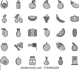 Thin line gray tint vector icon set - feeding bottle vector, medical bag, noodles, beet, sushi set, fried egg, jar of jam, a pineapple, orange slice, peach, large grape, rose hip, cornels, ripe plum