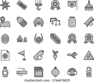 Thin line gray tint vector icon set - danger of electricity vector, add bookmark, minus, label, pennant, toys over the cot, winch hook, car, Hot Dog, birthday cake, bottle, medlar, melon, physalis