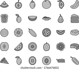 Thin line gray tint vector icon set - cheese vector, pizza, piece of, slices onion, cake, slice, meat, cucumber, orange, sandwich, plum, water melon, half mango, delicious, peach, tangerine, cherry