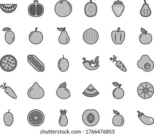 Thin line gray tint vector icon set - Hot Dog vector, chili, carrot, fried egg, strawberry, half pomegranate, apricot, plum, rose hip, fig, blueberry, mulberry, water melon, delicious, slice, tasty