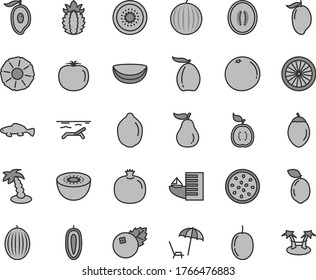 Thin line gray tint vector icon set - small fish vector, blueberries, pomegranate, melon, water, mango, half of, loquat, passion fruit, sweet date, lime, kiwi, tamarillo, sour, orange, guawa, slice