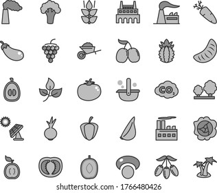 Thin line gray tint vector icon set - garden trolley vector, tomato, beet, garlic, carrot, mint, large grape, squash, tasty cornels, goji berry, delicious plum, slice of tangerine, half loquat