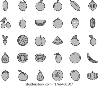 Thin line gray tint vector icon set - cucumber vector, strawberry, ripe peach, apple, half apricot, raspberry, cornels, of medlar, blackberry, mango, date fruit, tangerine, loquat, tasty plum, sweet