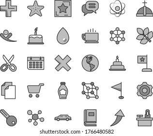 Thin line gray tint vector icon set - scissors vector, clean paper, plus, cross, pennant, birthday cake, cogwheel, key, drop, coffee, bottle, planet Earth, shopping cart, wall calendar, molecule