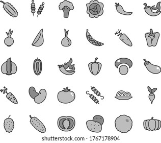 Thin line gray tint vector icon set - fried vegetables on sticks vector, onion, meat skewers, cabbage, cucumber, tomato, chili, peper, beet, garlic, carrot, squash, mulberry, sweet date fruit, half