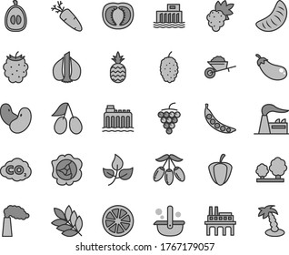 Thin line gray tint vector icon set - garden trolley vector, carrot, a pineapple, grape, large, squash, cornels, blackberry, mulberry, goji berry, slice of tangerine, half loquat, juicy lemon, peas