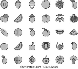 Thin line gray tint vector icon set - cucumber vector, strawberry, apple, orange slice, ripe peach, half pomegranate, quince, tasty, raspberry, of medlar, water melon, mango, goji berry, plum, lemon