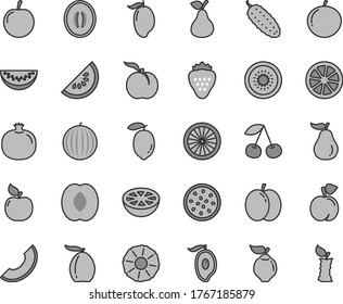 Thin line gray tint vector icon set - cucumber vector, strawberry, pear, cherry, peach, ripe, apple, pomegranate, quince, apricot, water melon, slice of, mango, half, loquat, tangerine, tasty plum