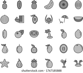 Thin line gray tint vector icon set - blueberries vector, a pineapple, melon, water, mango, half of, loquat, date fruit, slice tangerine, passion, sweet, lime, sour, orange, guawa, piece coconut