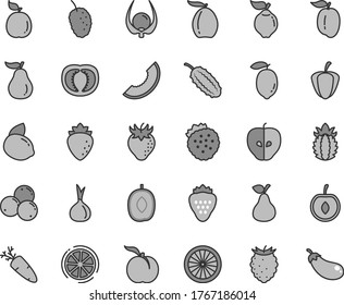 Thin line gray tint vector icon set - carrot vector, strawberry, strawberries, pear, ripe peach, quince, tasty apple, raspberry, blueberries, mulberry, slice of melon, loquat, delicious plum, lemon