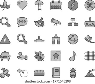 Thin line gray tint vector icon set - box of bricks vector, brick, heart, car, flowchart, move left, torte, pineapple, hot pepper, leaves, weaving, catch a coin, calendar, speech, network, connect