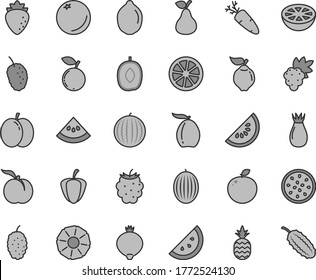 Thin line gray tint vector icon set - carrot vector, a pineapple, pear, orange slice, ripe peach, apple, grape, quince, raspberry, rose hip, medlar, blackberry, blueberry, mulberry, tasty, melon, of