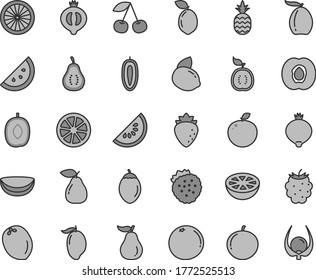 Thin line gray tint vector icon set - strawberries vector, a pineapple, orange slice, cherry, half apricot, pear, raspberry, medlar, of, blackberry, water melon, mango, loquat, delicious plum, juicy