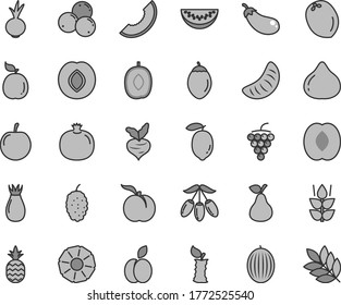 Thin line gray tint vector icon set - beet vector, a pineapple, apple, pear, mint, ripe peach, pomegranate, large grape, plum, rose hip, fig, blueberries, mulberry, melon, slice of, goji berry, half