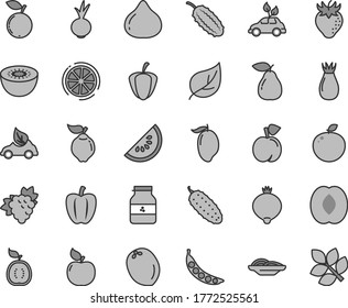 Thin line gray tint vector icon set - slices of onion vector, cucumber, beet, jar jam, peach, branch grape, quince, pear, apricot, strawberry, rose hip, fig, medlar, blueberry, slice water melon