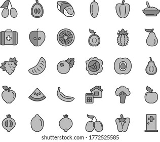 Thin line gray tint vector icon set - medical bag vector, estimate, a bowl of buckwheat porridge, peper, sushi, blueberries, half apricot, branch grape, squash, red apple, tasty, cornels, medlar