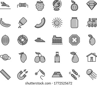 Thin line gray tint vector icon set - house vector, mark of injury, yardstick, baby powder, toy train, paving slab, meat on skewers, pear, blackberry, tasty cornels, melon, slice, mango, banana, jar