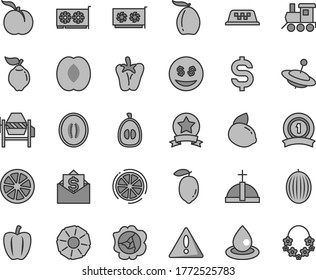 Thin line gray tint vector icon set - warning vector, baby toy train, yule, concrete mixer, peper, ripe peach, squash, quince, melon, loquat, half, lemon, yellow, juicy, slice of, pineapple, star