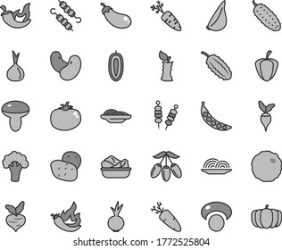 Thin line gray tint vector icon set - fried vegetables on sticks vector, onion, slices of, mushroom, lettuce in a plate, meat skewers, cabbage, cucumber, tomato, chili, beet, garlic, carrot, hot