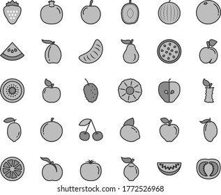 Thin line gray tint vector icon set - strawberry vector, cherry, peach, ripe, pomegranate, quince, apricot, red apple, tasty, mulberry, water melon, mango, loquat, delicious plum, slice, tangerine