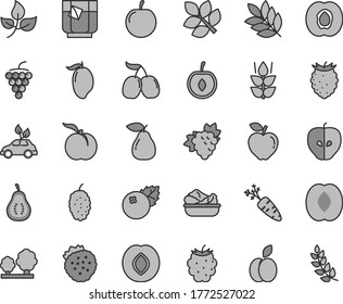 Thin line gray tint vector icon set - lettuce in a plate vector, glass of tea, blueberries, strawberries, apple, mint, ripe peach, half apricot, branch grape, large, pear, red, tasty, plum, mulberry