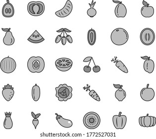 Thin line gray tint vector icon set - beet vector, carrot, cherry, half apricot, squash, quince, raspberry, rose hip, water melon, loquat, goji berry, date fruit, slice of tangerine, ripe plum, kiwi