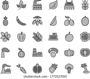 Thin line gray tint vector icon set - garlic vector, a pineapple, mint, half pomegranate, grape, squash, tasty cornels, goji berry, delicious plum, of guawa, ripe, tomato, Bell pepper, carrot, peas