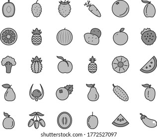 Thin line gray tint vector icon set - cucumber vector, carrot, blueberries, strawberries, a pineapple, orange slice, ripe peach, pear, tasty raspberry, mulberry, water melon, loquat, goji berry, of