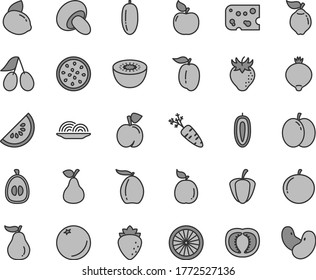 Thin line gray tint vector icon set - piece of cheese vector, onion, porcini, pear, orange, peach, apple, quince, apricot, raspberry, strawberry, cornels, medlar, slice water melon, loquat, half