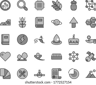 Thin line gray tint vector icon set - upward direction vector, pie chart, brick wall, sample of colour, heart, torte, mint, honeycombs, pineapple, trees, drop oil, catch a coin, research article