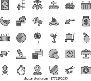 Thin line gray tint vector icon set - desktop microphone vector, stopwatch, building trolley, drawing, estimate, calculation, porcini, lollipop, Chinese chopsticks, goji berry, bananas, sour lime