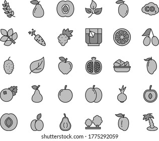 Thin line gray tint vector icon set - lettuce in a plate vector, beet, glass of tea, blueberries, apple, pear, half apricot, pomegranate, grape, red, plum, cornels, mulberry, mango, ripe, tasty