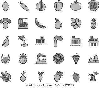 Thin line gray tint vector icon set - tomato vector, beet, garlic, carrot, a pineapple, grape, large, squash, mulberry, tasty, juicy lemon, guava, ripe, physalis, Bell pepper, peas, mashroom, radish