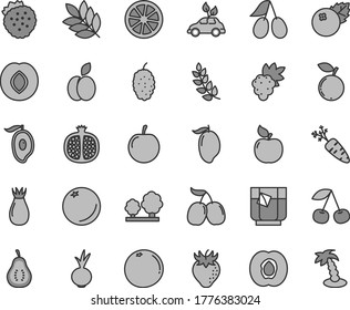 Thin line gray tint vector icon set - beet vector, a glass of tea, blueberries, strawberries, apple, orange, cherry, half apricot, pomegranate, grape, plum, strawberry, rose hip, cornels, blueberry