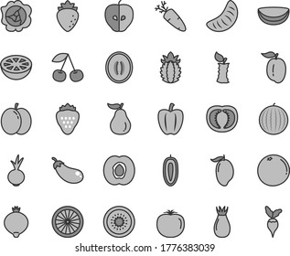 Thin line gray tint vector icon set - beet vector, carrot, strawberry, cherry, apple, half apricot, squash, tasty, raspberry, rose hip, medlar, water melon, mango, slice of tangerine, ripe plum
