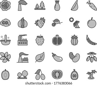 Thin line gray tint vector icon set - garden trolley vector, garlic, carrot, half pomegranate, branch of grape, squash, rose hip, cornels, blackberry, goji berry, delicious plum, loquat, tasty, peas