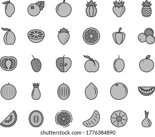 Thin line gray tint vector icon set - blueberries vector, ripe peach, tasty apple, raspberry, strawberry, rose hip, mulberry, melon, water, slice of, mango, loquat, half, tangerine, passion fruit