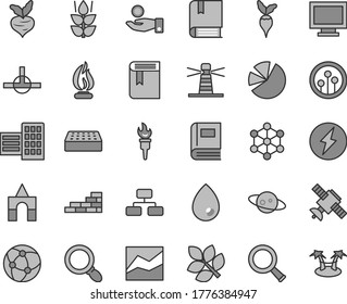 Thin line gray tint vector icon set - monitor window vector, line chart, book, box of bricks, e, brick wall, city block, drop, flowchart, mint, beet, radish, lighthouse, catch a coin, pie charts