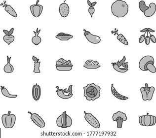 Thin line gray tint vector icon set - onion vector, slices of, porcini, lettuce in a plate, cabbage, cucumber, chili, peper, beet, carrot, squash, mulberry, goji berry, sweet date fruit, apple stub