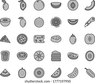 Thin line gray tint vector icon set - stationery knife vector, piece of cheese, pizza, cake, bacon, meat, orange slice, sandwich, plum, water melon, half mango, delicious, peach, tangerine, lemon
