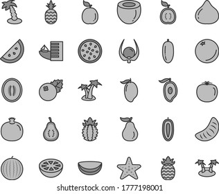 Thin line gray tint vector icon set - blueberries vector, a pineapple, orange slice, pomegranate, fig, water melon, mango, half of, date fruit, tangerine, sweet, passion, guava, guawa, piece coconut