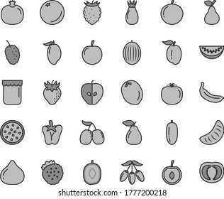 Thin line gray tint vector icon set - peper vector, jam, strawberries, pear, orange, pomegranate, tasty apple, strawberry, rose hip, fig, raspberry, mulberry, cornels, melon, mango, goji berry, of