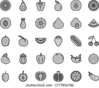 Thin line gray tint vector icon set - Hot Dog vector, chili, peper, fried egg, strawberry, cherry, ripe peach, half apricot, pomegranate, plum, rose hip, fig, water melon, delicious, slice, juicy