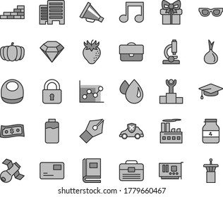 Thin line gray tint vector icon set - horn vector, graph, baby bib, brick wall, portfolio, buildings, lock, pass card, jar of jam, strawberry, onion, pumpkin, charge level, industrial building, drop