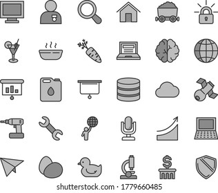 Thin line gray tint vector icon set - desktop microphone vector, laptop, monitor window, baby duckling, cordless drill, home, earth, eggs, hot porridge, carrot, canister of oil, trolley with coal